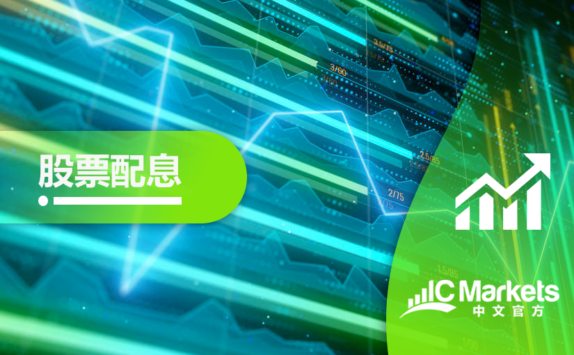 2021年02月股票股息分配表 (2021-02-23)